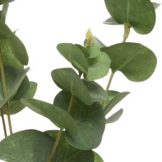 Eucalyptus Spray 98cm