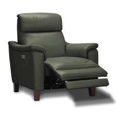 Selva Electric Reclining Armchair Leather Category 15(S) Selva Electric Reclining Armchair Leather Category 15(S)