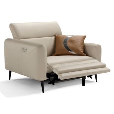 Eiger Snuggler Electric Reclining Leather Category B Eiger Snuggler Electric Reclining Leather Category B