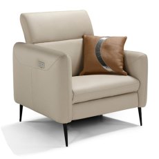 Eiger Armchair Leather Category B Eiger Armchair Leather Category B