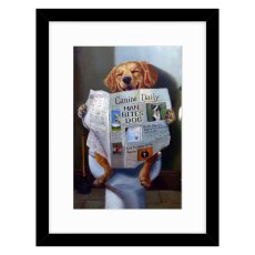 Dog Gone Funny 33.5cm x 43.5cm Picture By Lucia Heffernan Black Frame Dog Gone Funny 33.5cm x 43.5cm Picture By Lucia Heffernan Black Frame