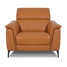 Davos Armchair Leather Category 20 BX/NW Davos Armchair Leather Category 20 BX/NW