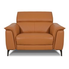 Davos Large Armchair Leather Category 20 BX/NW Davos Large Armchair Leather Category 20 BX/NW