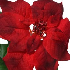 Poinsettia On Stem With Red Glitter Cyathia Red 67cm