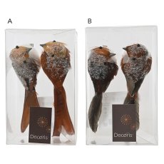 Festive Robin Bird On Clip Brown Or Orange (Set of 2) (Choice of 2)