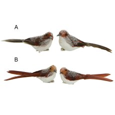 Festive Robin Bird On Clip Brown Or Orange (Set of 2) (Choice of 2)