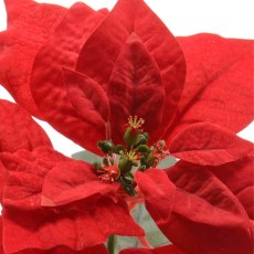 Silk Poinsettia On Stem With Green Cyathia Red 67cm