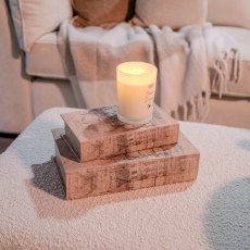 Blydan Decorative Book Box (Set Of 2)
