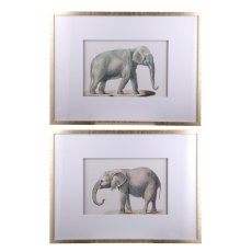 Elephant 80cm x 60cm Pictures Light Gold Frame (Set Of 2) Elephant 80cm x 60cm Pictures Light Gold Frame (Set Of 2)