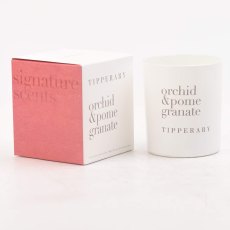 Signature Scents Candle 180gm (Multiple Scents)