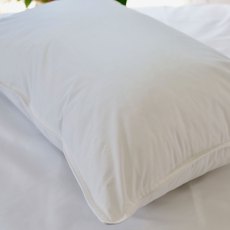 Silk Microfibre Pillow