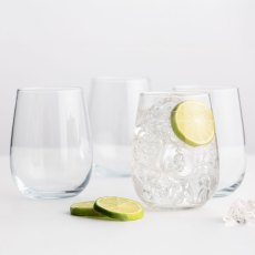 Ravenhead Bouquet Tumbler Glasses (Set Of 4) Ravenhead Bouquet Tumbler Glasses (Set Of 4)