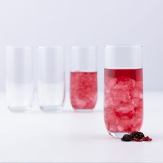 Tulip Hi-ball Glasses (Set Of 4) Tulip Hi-ball Glasses (Set Of 4)