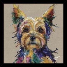 Yorkie 43.5cm x 43.5cm Picture By Louise Luton Black Frame