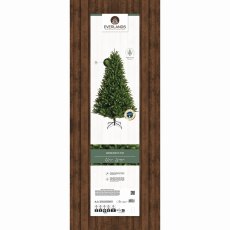 8ft/240cm Bromont Fir Christmas Tree Green 8ft/240cm Bromont Fir Christmas Tree Green