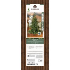 6ft/180cm Prelit Grandis Fir Christmas Tree Green 6ft/180cm Prelit Grandis Fir Christmas Tree Green