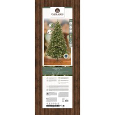 7ft/210cm Prelit Bromont Fir Christmas Tree Green