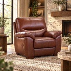 Novara Armchair Leather Category 13(S) Winchester Brown Novara Armchair Leather Category 13(S) Winchester Brown
