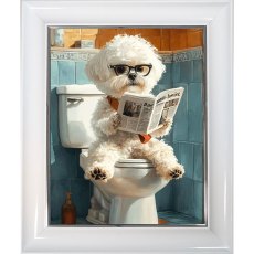 Large Bichon Frise on Toilet 63cm x 53cm Picture White Frame Large Bichon Frise on Toilet 63cm x 53cm Picture White Frame