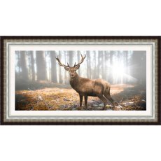 Stag in the Autumn Sun 105cm x 75cm Framed Picture Stag in the Autumn Sun 105cm x 75cm Framed Picture
