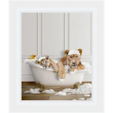Lions in the Bath 50cm x 40cm Picture White Frame Lions in the Bath 50cm x 40cm Picture White Frame
