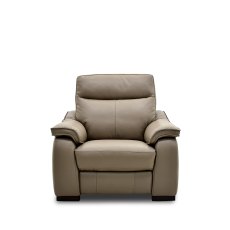 Vincenzo Armchair Leather Category 20 Vincenzo Armchair Leather Category 20