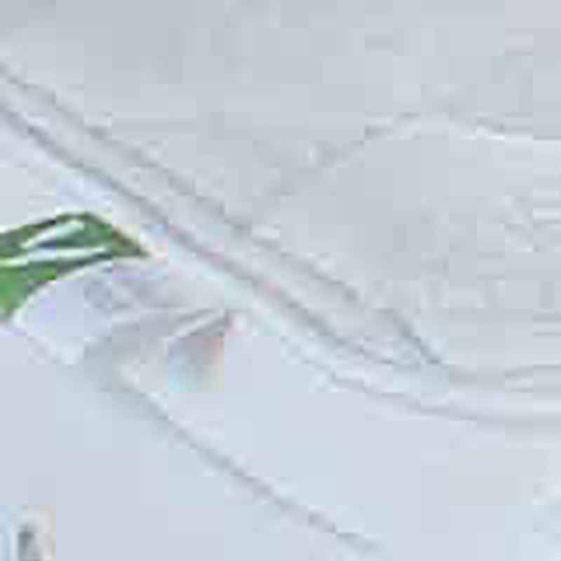 Odearest Birch Ortho Firm Support Double (135cm) Mattress