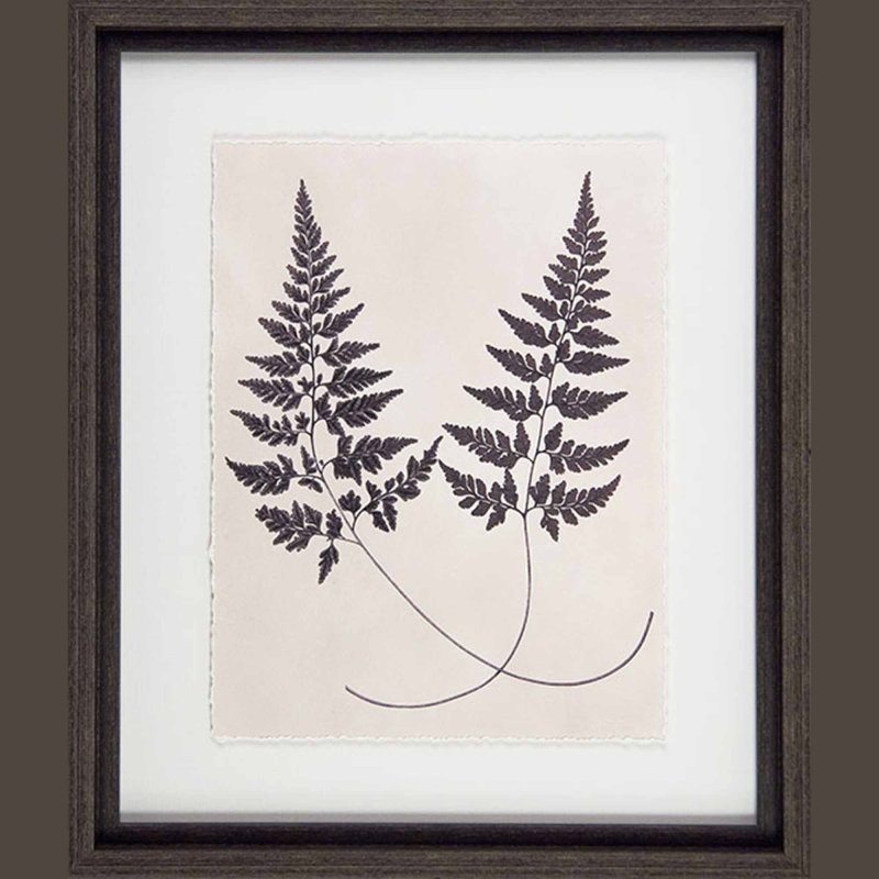 Camelot Vintage Fern Study I 37cm x 73cm Picture Black Frame 