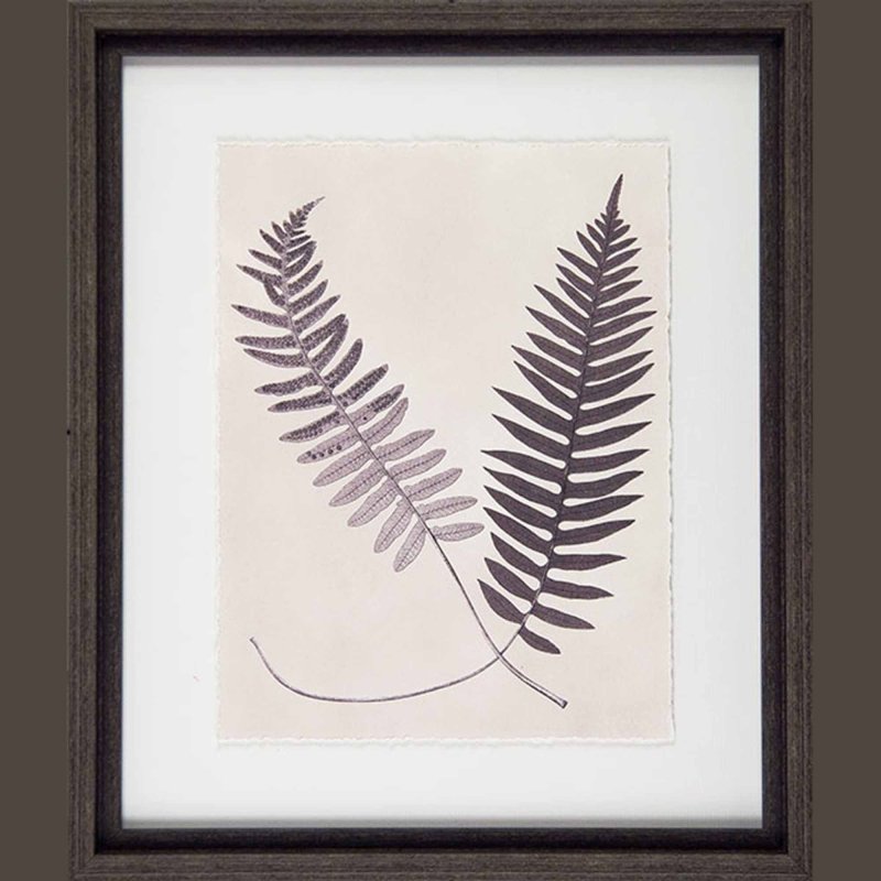 Camelot Vintage Fern Study III 37cm x 73cm Picture Black Frame 