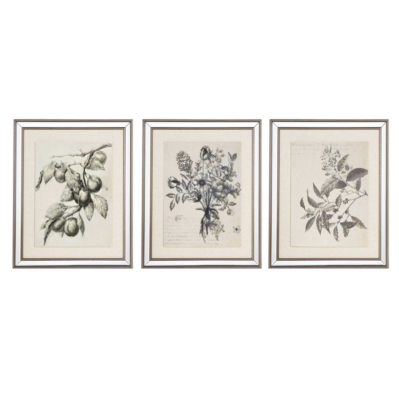 Mindy Brownes Spring Prints 50cm x 60cm (Set Of 3) Mirror Frame