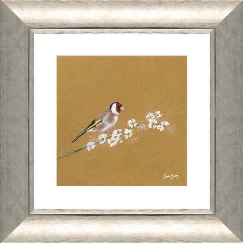 Artko Goldfinch 51cm x 51cm Picture By Laure Bury With Gold Frame