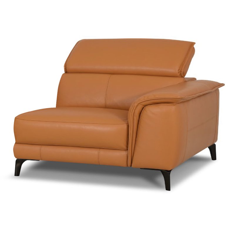 Davos Modular 1.5 Seater Sofa Arm RHF Leather Category 20 BX/NW