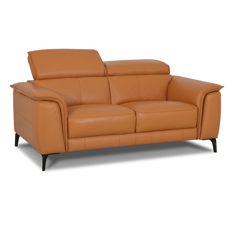 Davos 2 Seater Sofa Leather Category 20 BX/NW