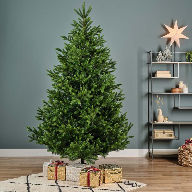 7ft/210cm Nordmann Fir Christmas Tree Green 2