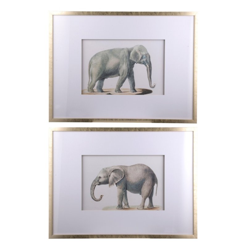 Mindy Brownes Elephant 80cm x 60cm Pictures Light Gold Frame (Set Of 2)