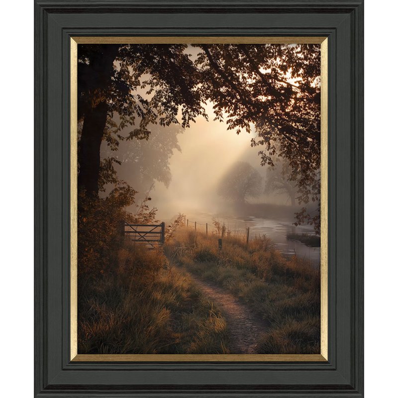 Falling Light I 49cm x 59cm Picture By M.Torelli Black Frame