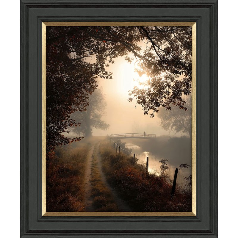Falling Light II 49cm x 59cm Picture By M.Torelli Black Frame