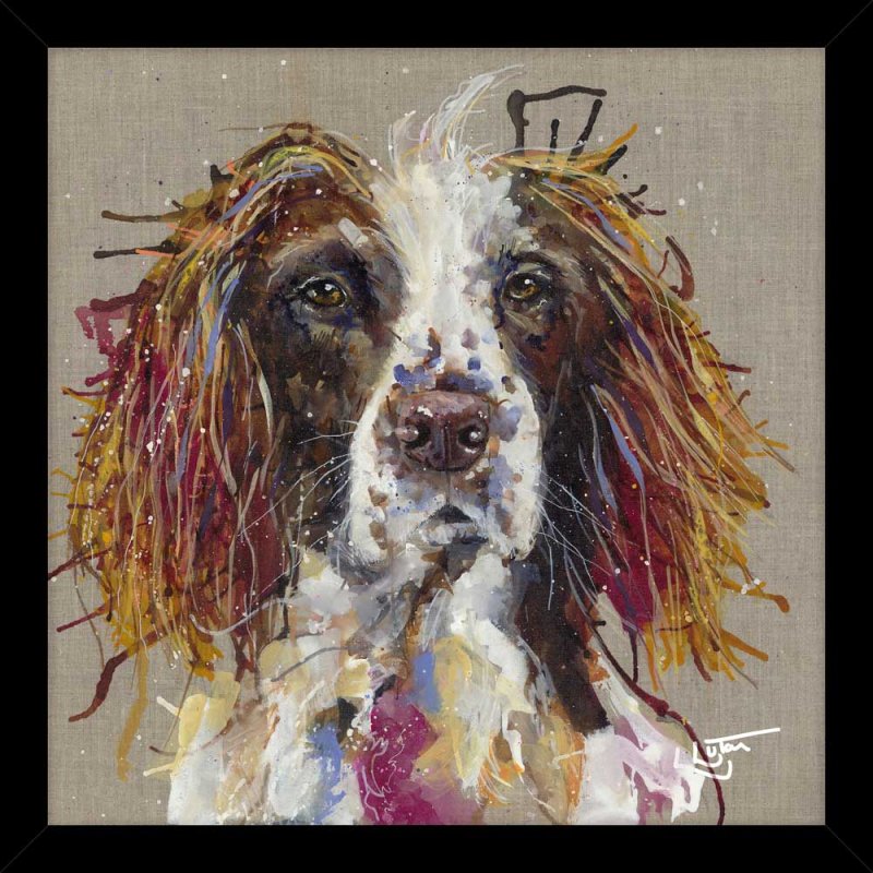 Artko Spaniel 43.5cm x 43.5cm Picture By Louise Luton Black Frame