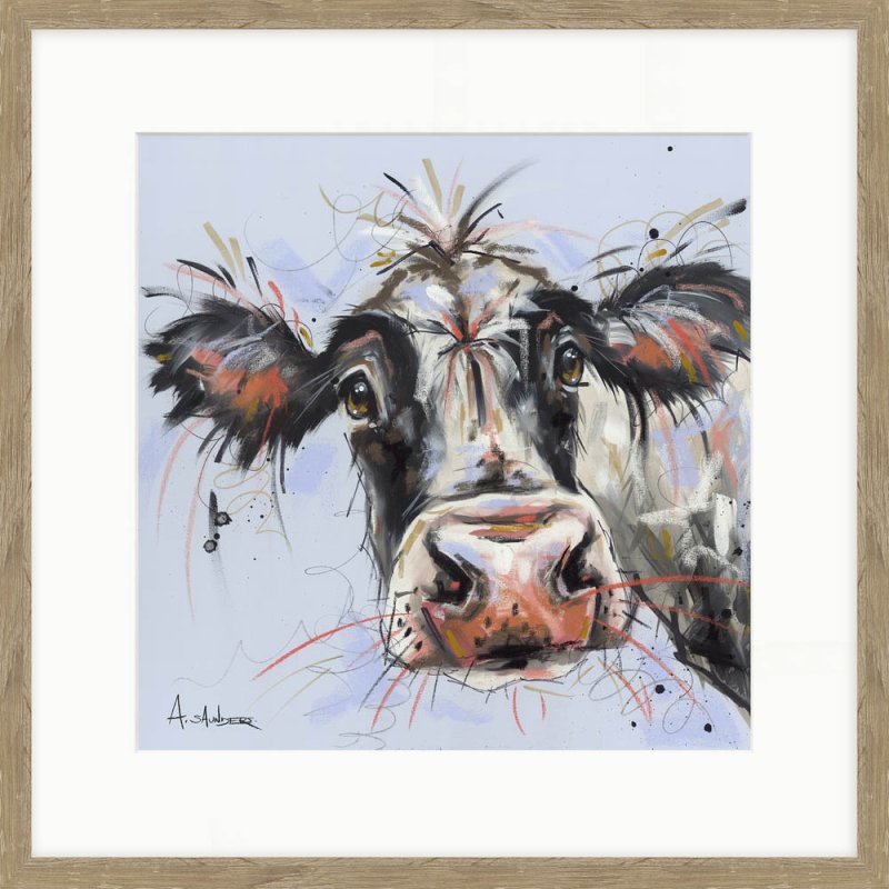 Artko Curious Cow 42cm x 42cm Picture By Ashley Saunders Wooden Frame