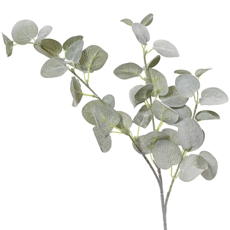 Eucalyptus Stem With Flock Finish Soft Green 69cm