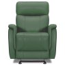 Tiber Electric Reclining Armchair Leather Category 15(S) Forest Green