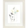 Stem Illusions II 36cm x 45cm Picture By June Erica Vess Beige Frame