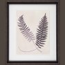 Camelot Vintage Fern Study III 37cm x 73cm Picture Black Frame 