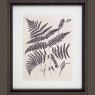 Camelot Vintage Fern Study IV 37cm x 73cm Picture Black Frame 