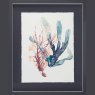 Camelot Sweet Seaweed I 43cm x 53cm Picture By Jennifer Goldberger Dark Grey Frame 