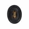Insect Plaque Black & Gold (Set Of 3) H22cm | W17cm | D2.5cm