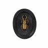 Insect Plaque Black & Gold (Set Of 3) H22cm | W17cm | D2.5cm