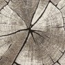 Woodland 2086 Beige 120x170cm