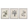 Mindy Brownes Spring Prints 50cm x 60cm (Set Of 3) Mirror Frame