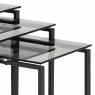 Katrine Nest Of Tables Black (Set of 3)